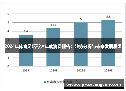 2024年体育足坛球迷年度消费报告：趋势分析与未来发展展望