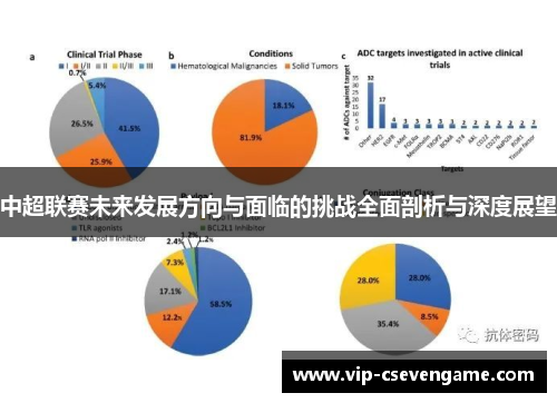 中超联赛未来发展方向与面临的挑战全面剖析与深度展望