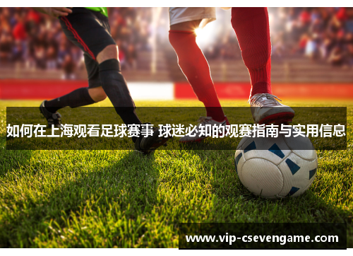 如何在上海观看足球赛事 球迷必知的观赛指南与实用信息