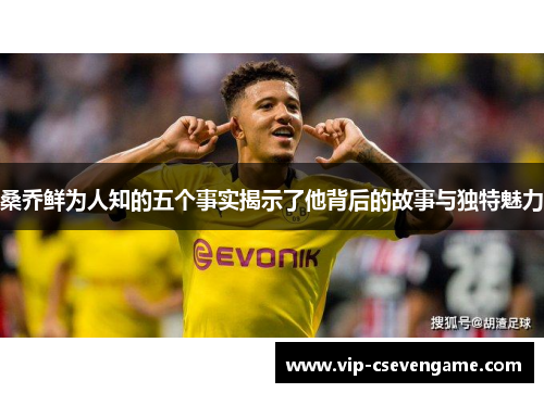 桑乔鲜为人知的五个事实揭示了他背后的故事与独特魅力