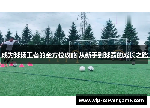成为球场王者的全方位攻略 从新手到球霸的成长之路