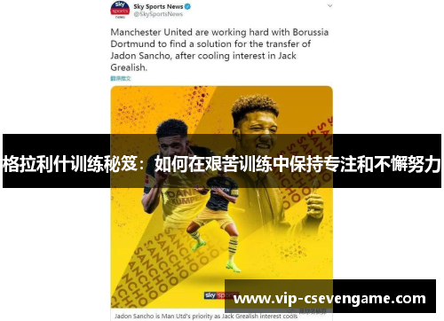 格拉利什训练秘笈：如何在艰苦训练中保持专注和不懈努力
