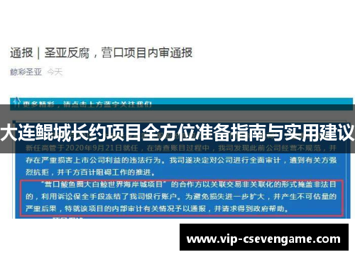 大连鲲城长约项目全方位准备指南与实用建议
