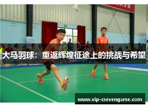 大马羽球：重返辉煌征途上的挑战与希望