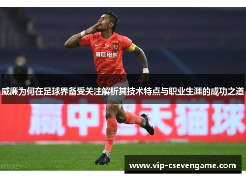 威廉为何在足球界备受关注解析其技术特点与职业生涯的成功之道